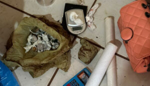 Em Araguaína, Polícia Civil estoura ponto de venda de droga e prende homem por tráfico de entorpecentes 345090 1