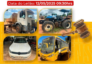leilao