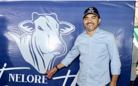 Tocantins se consolida como potência pecuária e registra 6ª maior expansão de rebanho do país Captura de tela 21 3 2026 121112 www.to .gov .br