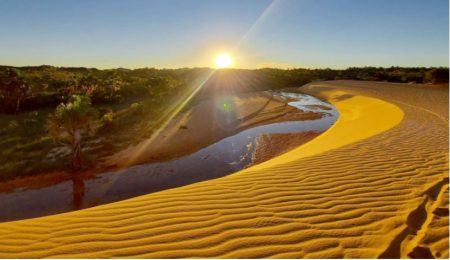 Captura de tela 17 4 2026 135248 www.to .gov .br